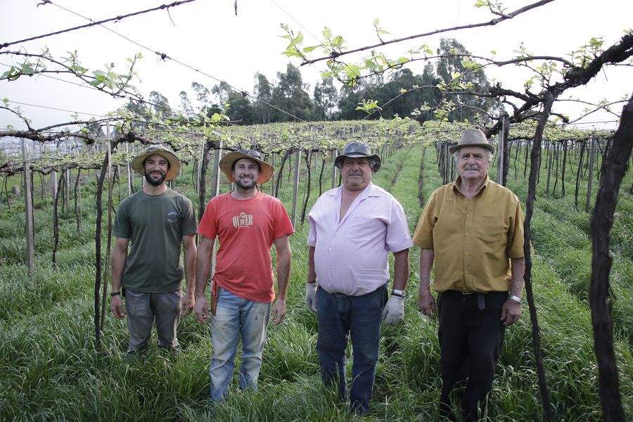 Cooperativismo 4