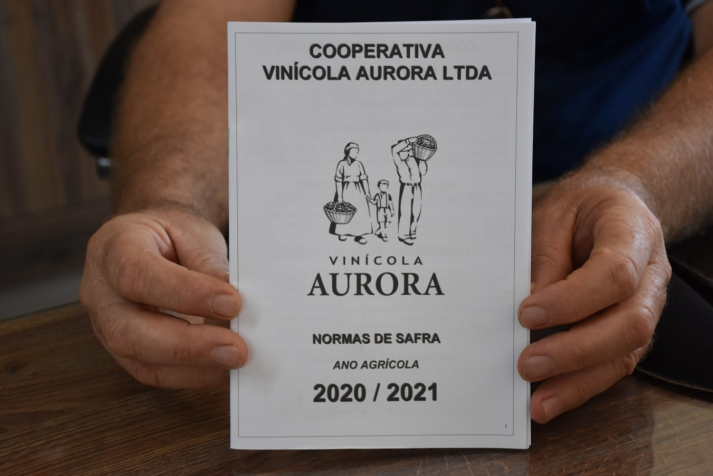 Cartilha da Vinícola Aurora orienta produtores para cuidados com produção e comercialização da Safra 2020/2021