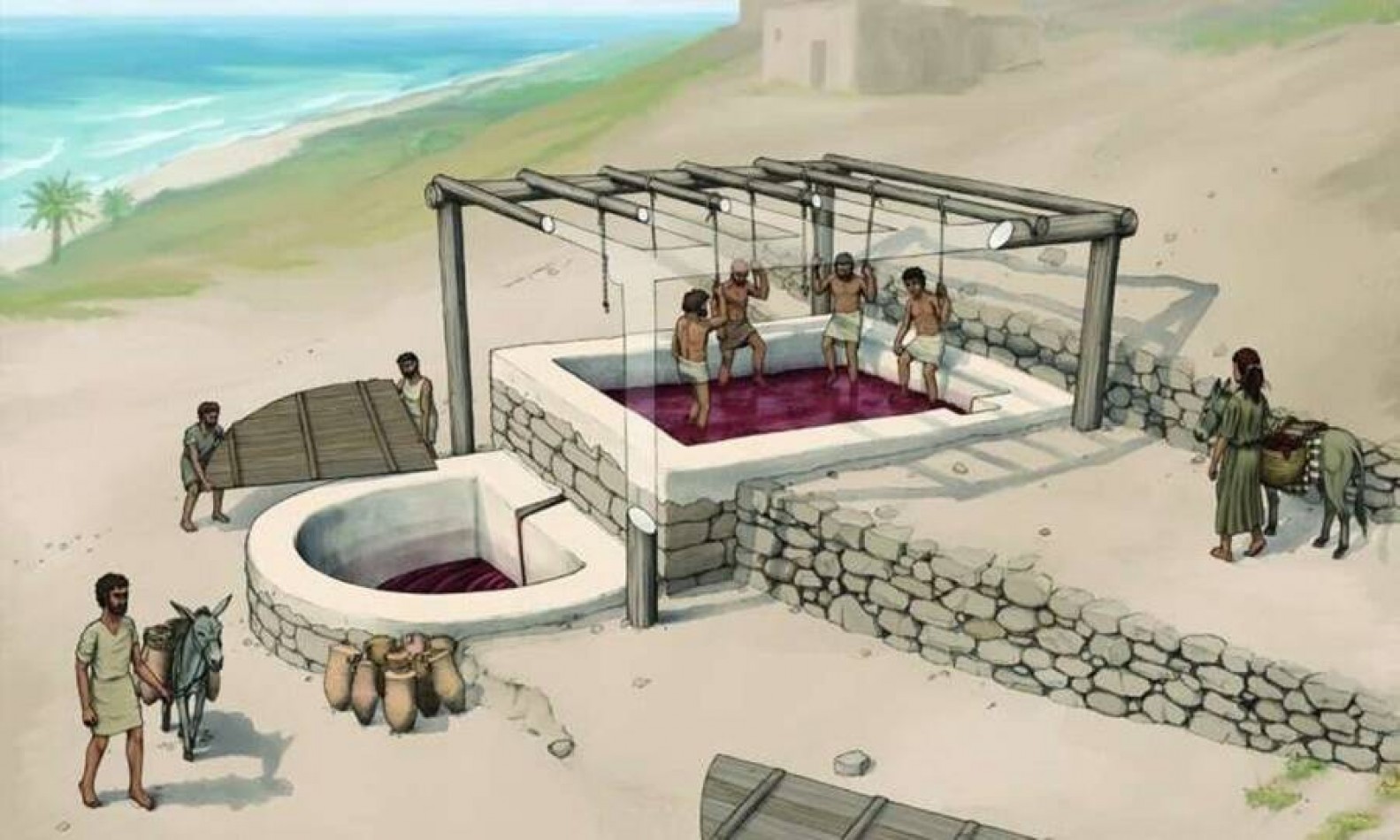 “Fábrica de vinho” de 2.600 anos, capaz de reter 5 mil litros por vez, é descoberta no Líbano